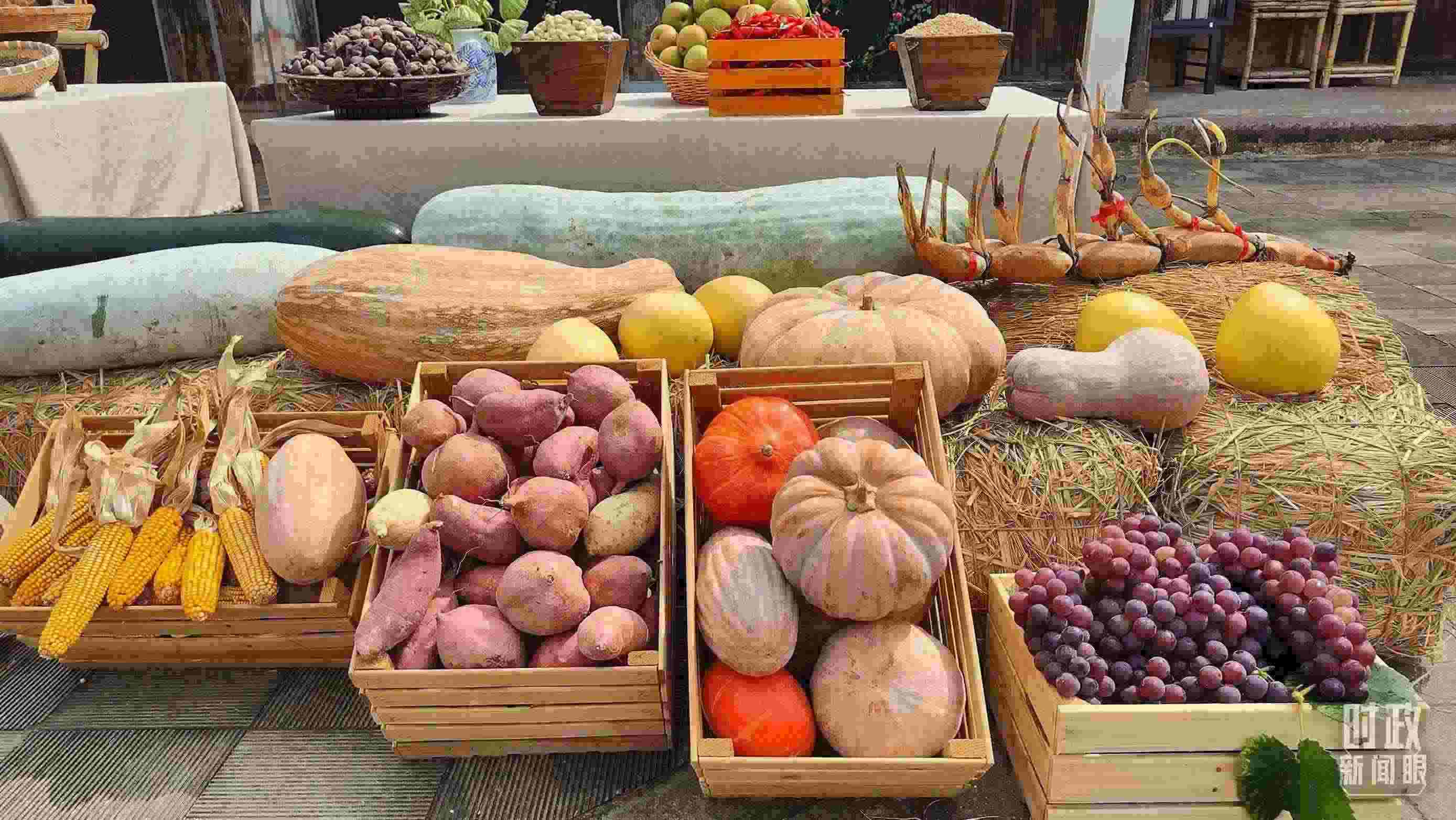 △村廣場(chǎng)“共富市集”，擺放著種類(lèi)豐富的特色農(nóng)產(chǎn)品。（總臺(tái)央視記者楊立峰拍攝）