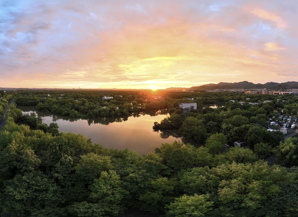 杭州西溪濕地日出景觀。