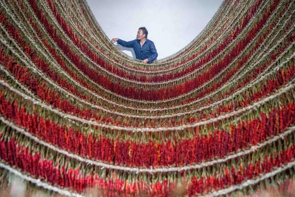 在貴州省畢節(jié)市大方縣理化鄉(xiāng)金雞村，村民查看辣椒烘干情況。新華社發(fā) 羅大富攝