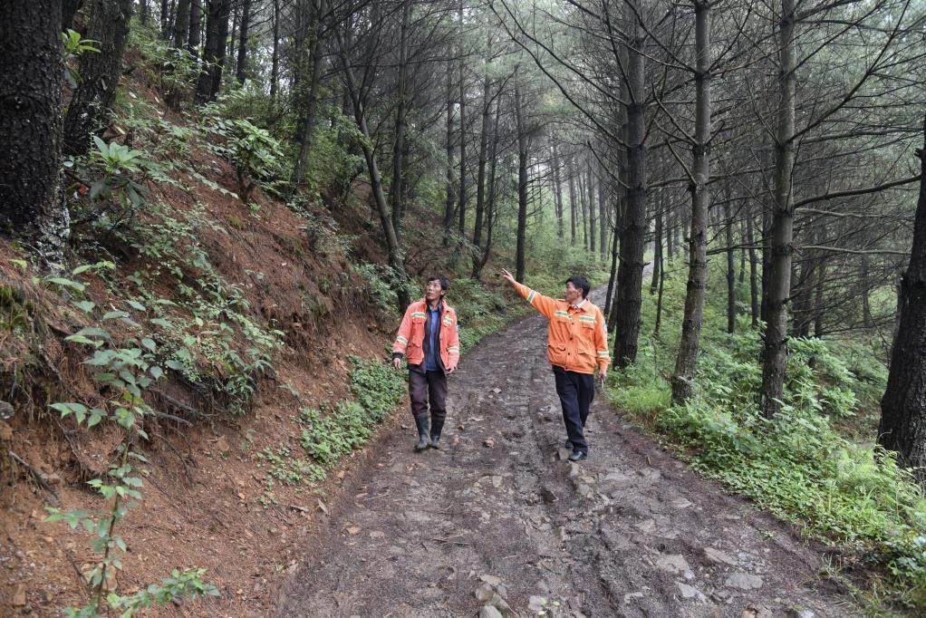 海雀村生態(tài)護林員馬正安（左）和海雀村林管員王光德（右）在日常巡山護林。新華社記者 李凡 攝