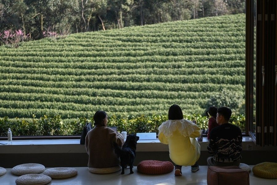 游客在浙江省安吉縣黃杜村萬畝茶園邊的咖啡館休閑（2023年2月21日攝）。