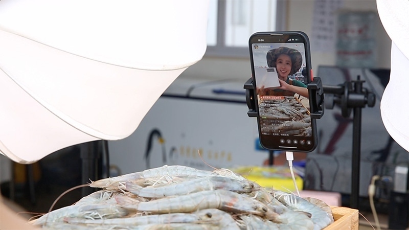 江蘇連云港，村民進(jìn)行直播銷售。范堯攝