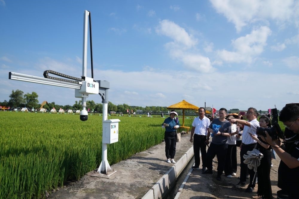 在北大荒集團(tuán)閆家崗農(nóng)場有限公司農(nóng)業(yè)現(xiàn)代化示范區(qū)，工作人員在介紹利用數(shù)字技術(shù)的葉齡診斷儀（2023年8月10日攝）。新華社記者 王建威 攝