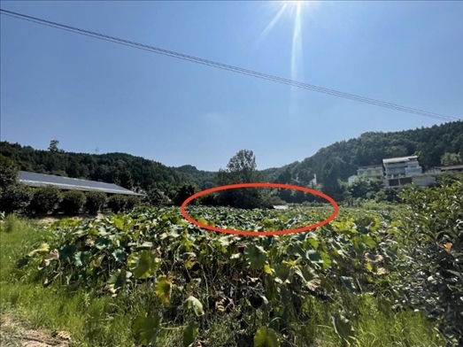 曾經(jīng)的圣水園所在地。 人民網(wǎng)記者 楊喬攝