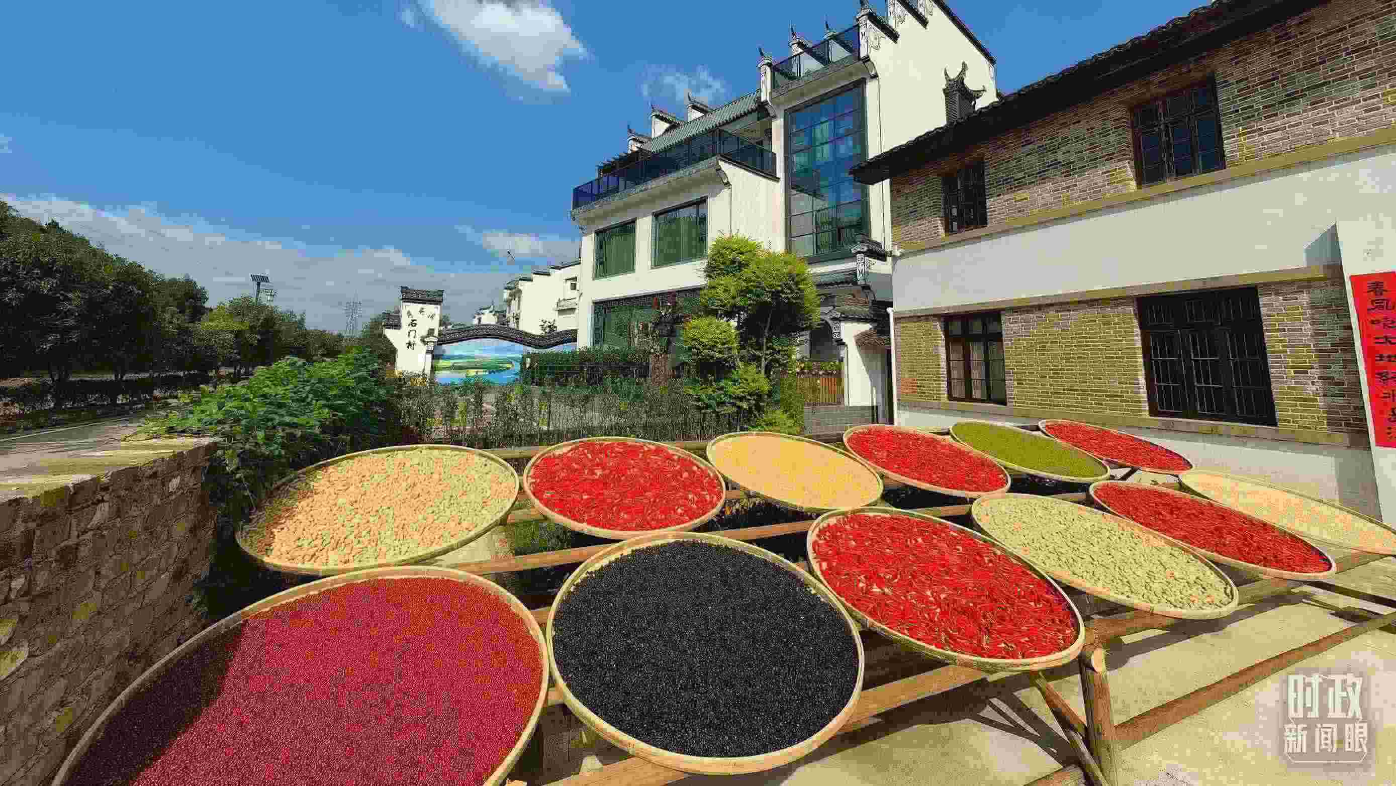 △曬秋農(nóng)俗成為婺源鄉(xiāng)村的一道美麗風(fēng)景。（總臺央視記者段德文拍攝）