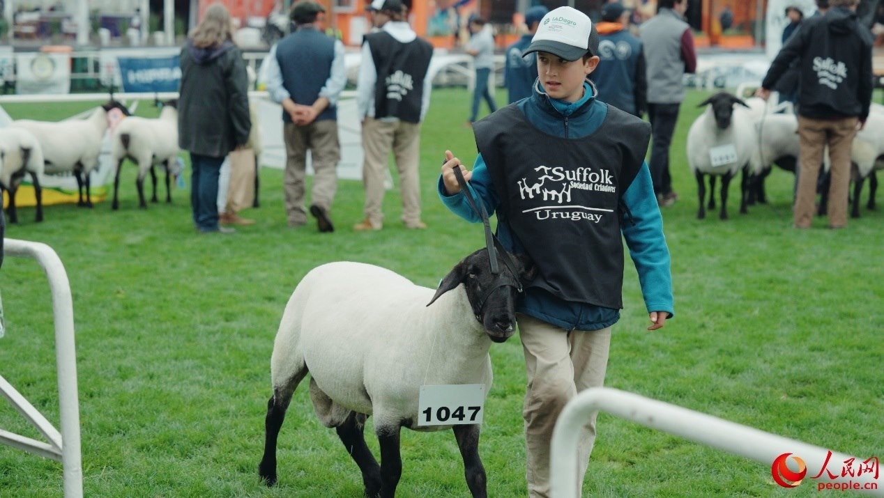 烏拉圭第118屆普拉多牧農(nóng)業(yè)國際博覽會現(xiàn)場。人民網(wǎng)記者 張若涵攝