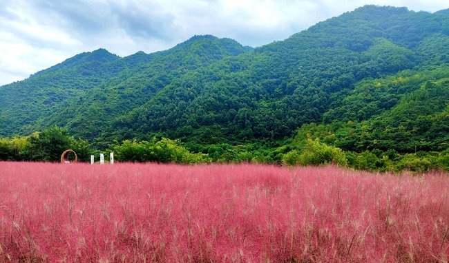 寶成線鳳縣境內的路邊。