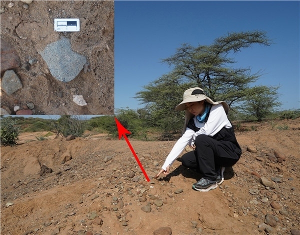 地層中的勒瓦婁哇石片。中肯聯(lián)合考古隊(duì)供圖