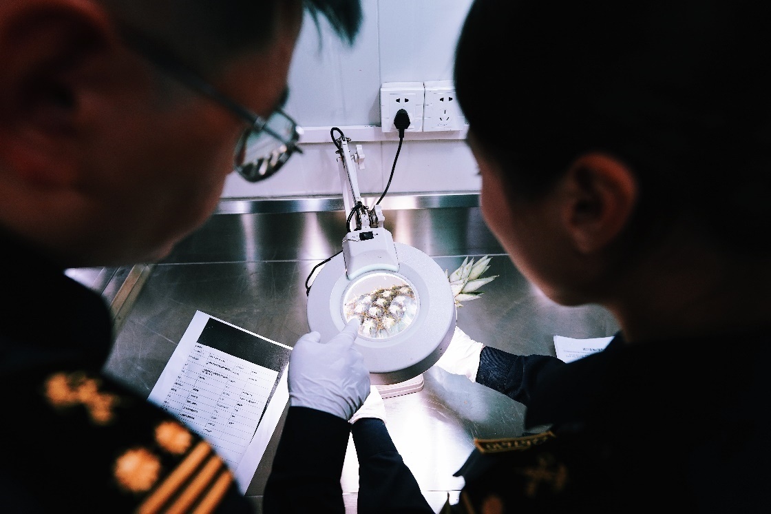 上海海關(guān)關(guān)員針對檢疫性有害生物和農(nóng)藥殘留進行檢疫檢驗。陳興洲攝