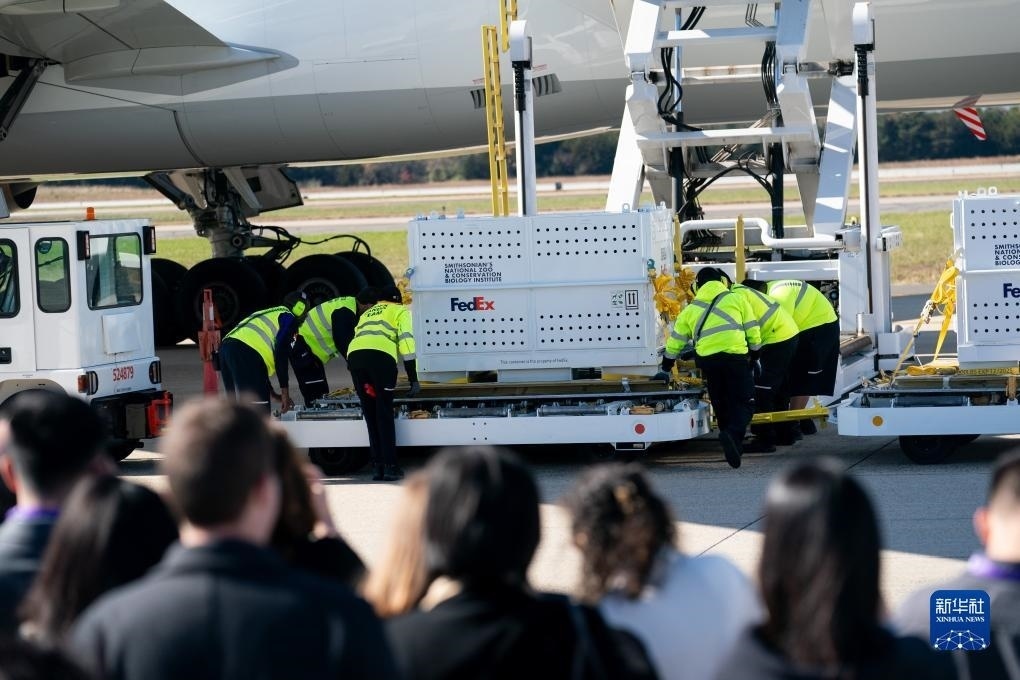 11月8日，在美國弗吉尼亞州的華盛頓杜勒斯國際機(jī)場(chǎng)，裝有大熊貓的特制“旅行包廂”準(zhǔn)備運(yùn)上專機(jī)。新華社記者劉杰攝