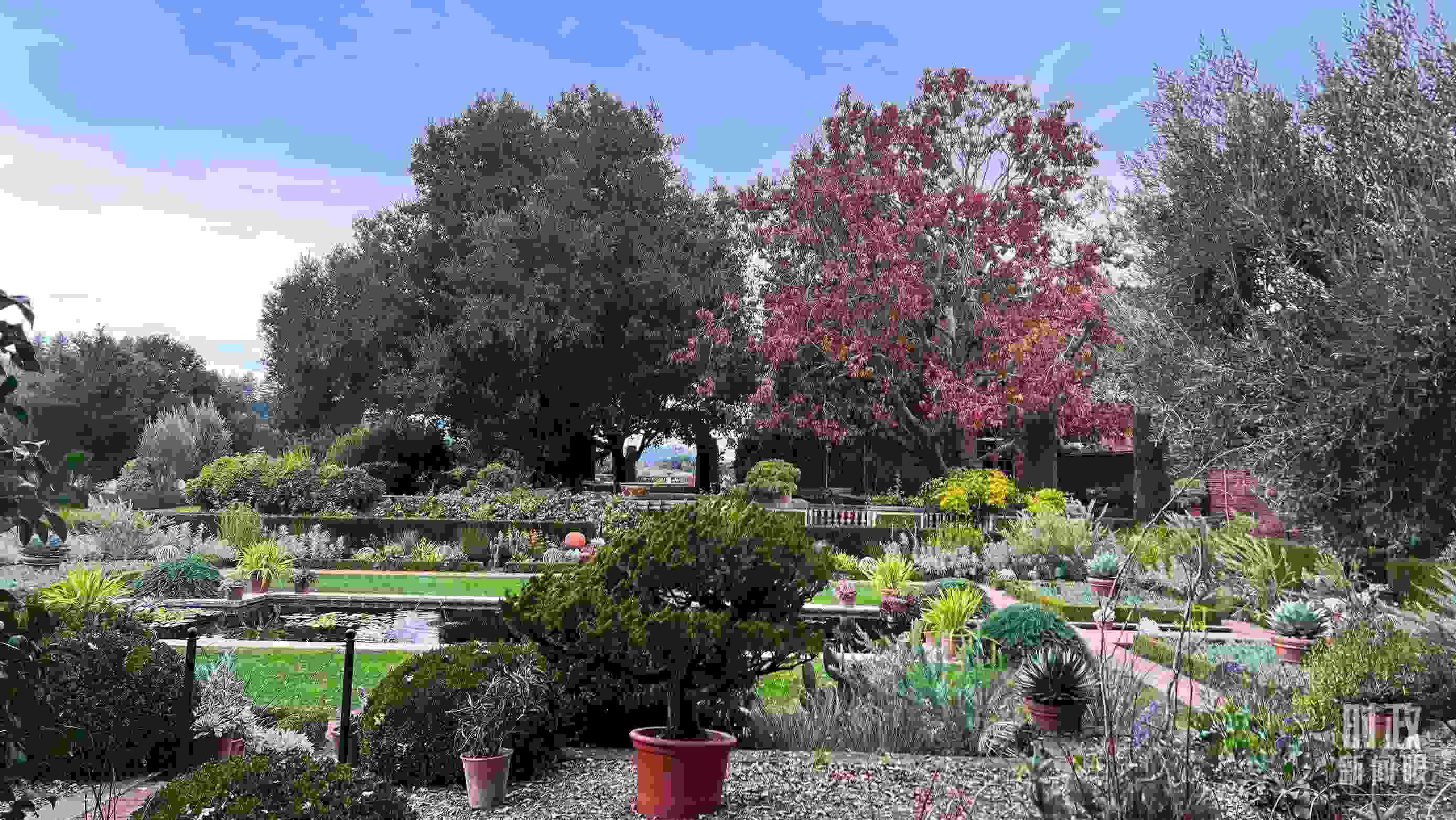 斐洛里莊園被稱作美國(guó)20世紀(jì)現(xiàn)存最精美鄉(xiāng)村莊園之一。（總臺(tái)央視記者程鋮拍攝）