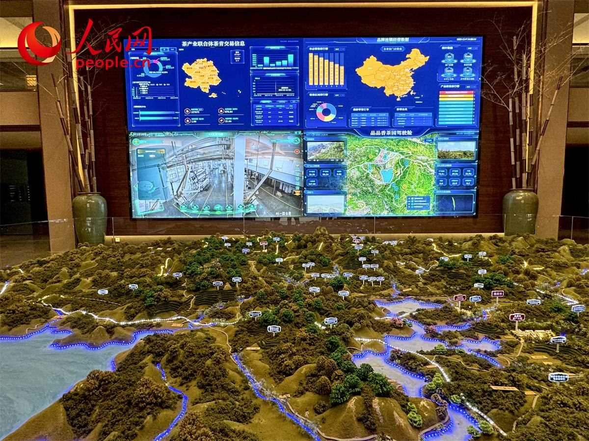 品品香白茶產(chǎn)業(yè)園信息中心數(shù)智化大屏。人民網(wǎng)記者 劉微攝
