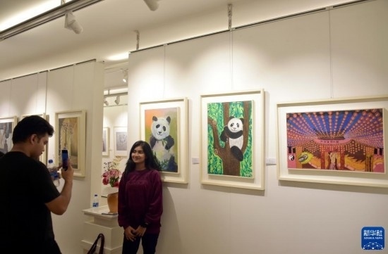 11月22日，在孟加拉國達卡，人們在“國家印象”繪畫展上參觀拍照。新華社發(fā)（薩利姆攝）
