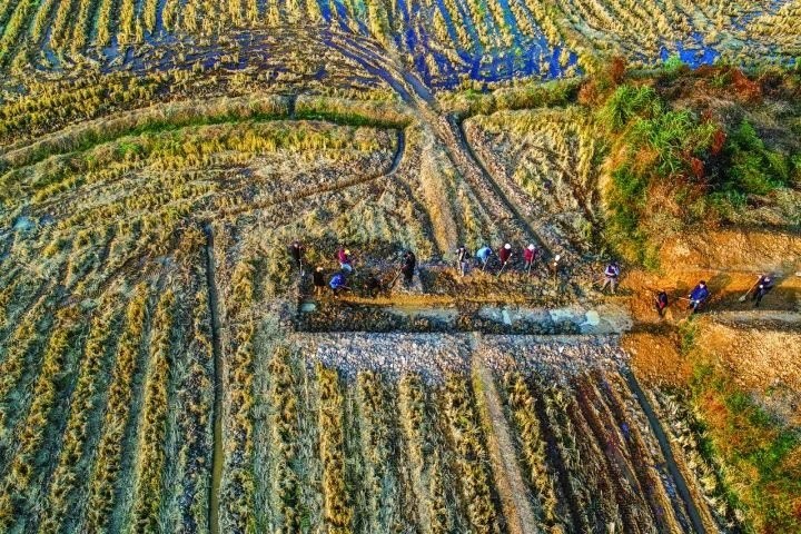 良渚遺址考古發(fā)掘現(xiàn)場。