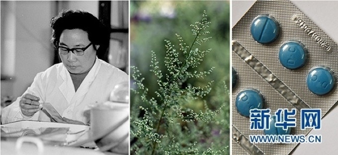 屠呦呦、青蒿和抗瘧疾成藥（拼版資料照片）
