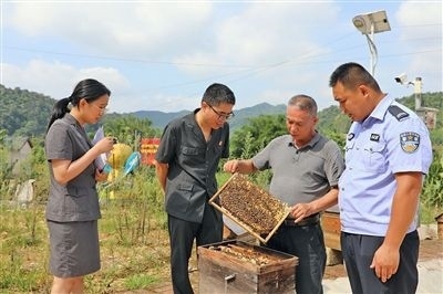  圖②：蒙山法院黃村法庭法官深入蜂蜜合作社，實(shí)地了解蜂農(nóng)需求。