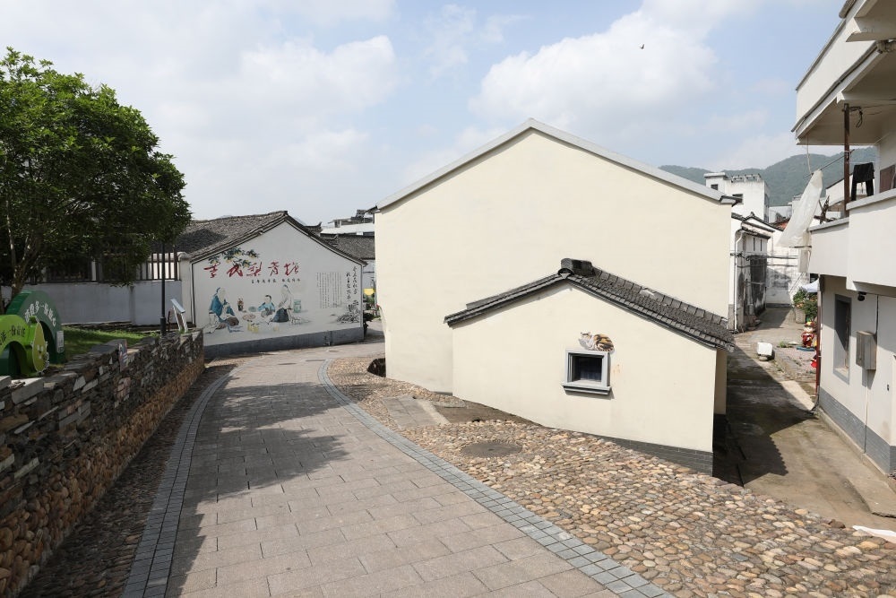 浙江省義烏市李祖村一景（2023年5月23日攝）。新華社記者 杜瀟逸 攝