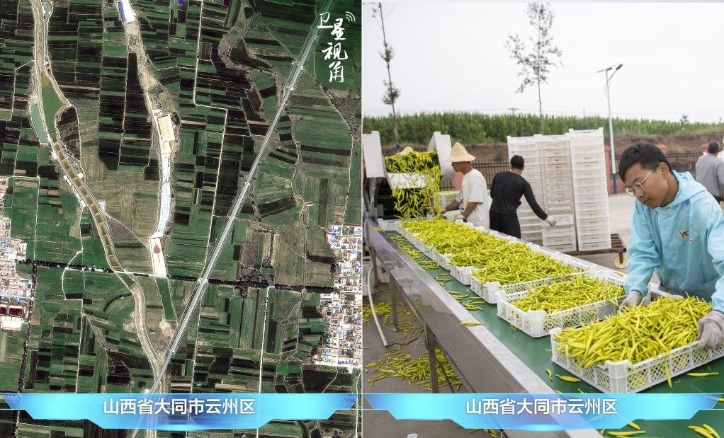 當(dāng)前，大同市開(kāi)發(fā)黃花菜品、食品、飲品、功能食品、化妝品、文創(chuàng)產(chǎn)品六大系列130余種，全產(chǎn)業(yè)鏈產(chǎn)值超40億元。