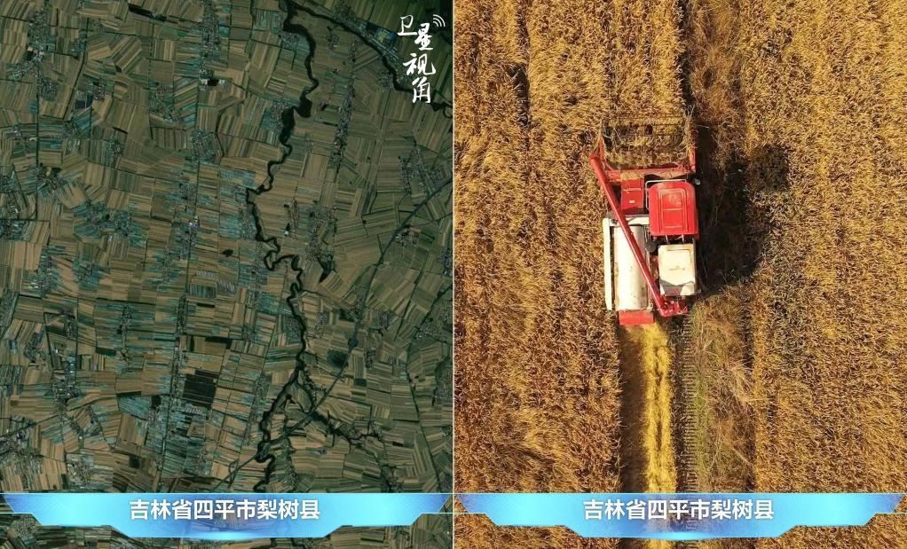 隨著現(xiàn)代化農(nóng)機(jī)普及應(yīng)用，保護(hù)性耕作“梨樹(shù)模式”得以大面積推廣，不僅使黑土地保護(hù)與利用持續(xù)深入，更為糧食作物高產(chǎn)穩(wěn)產(chǎn)助力。