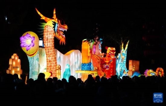 2月11日晚，人們在濟南市趵突泉公園觀賞花燈。