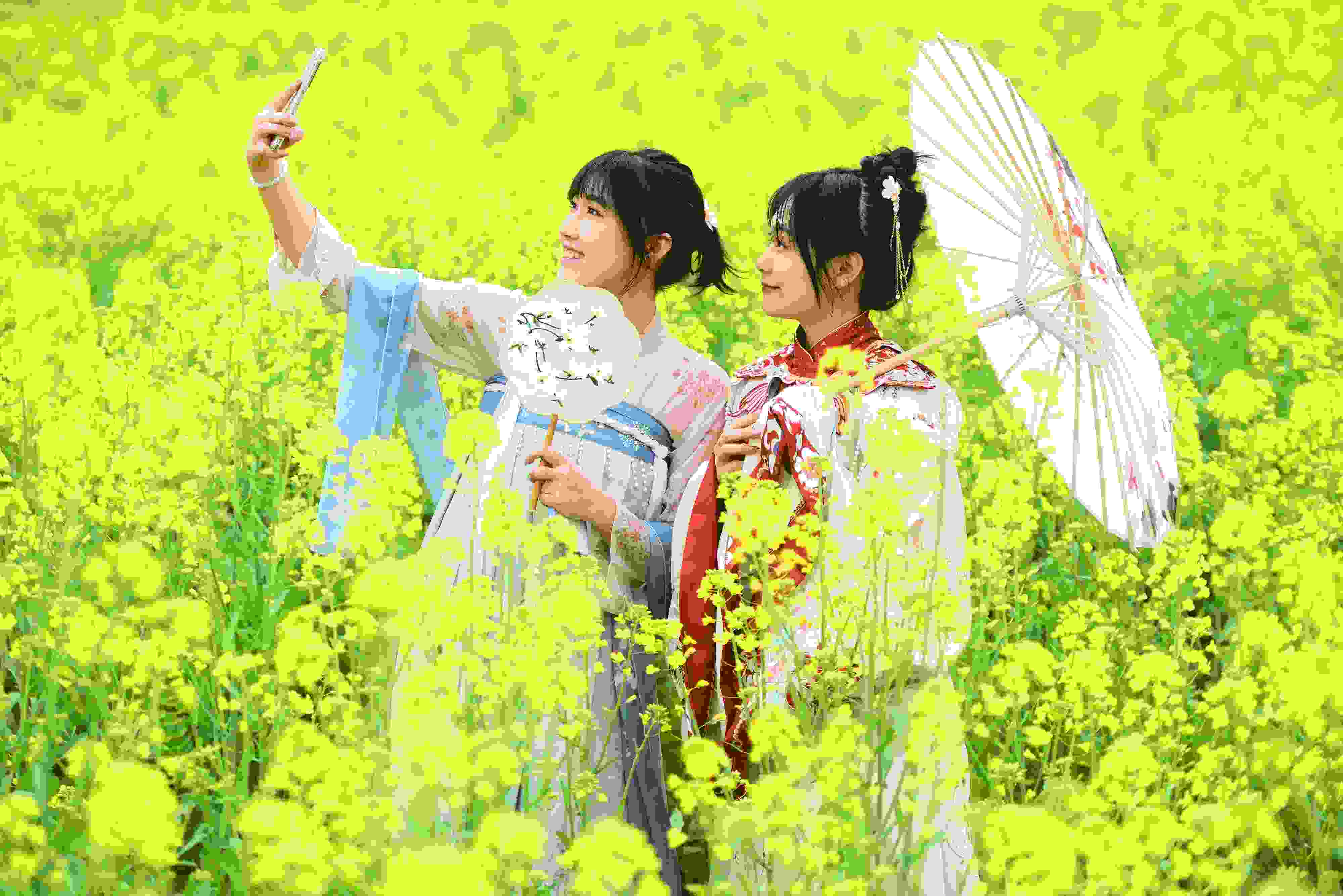 △ 2024年2月16日，廣西賀州，在富川瑤族自治縣麥嶺鎮(zhèn)三民村，游客在油菜花田間賞花拍照。