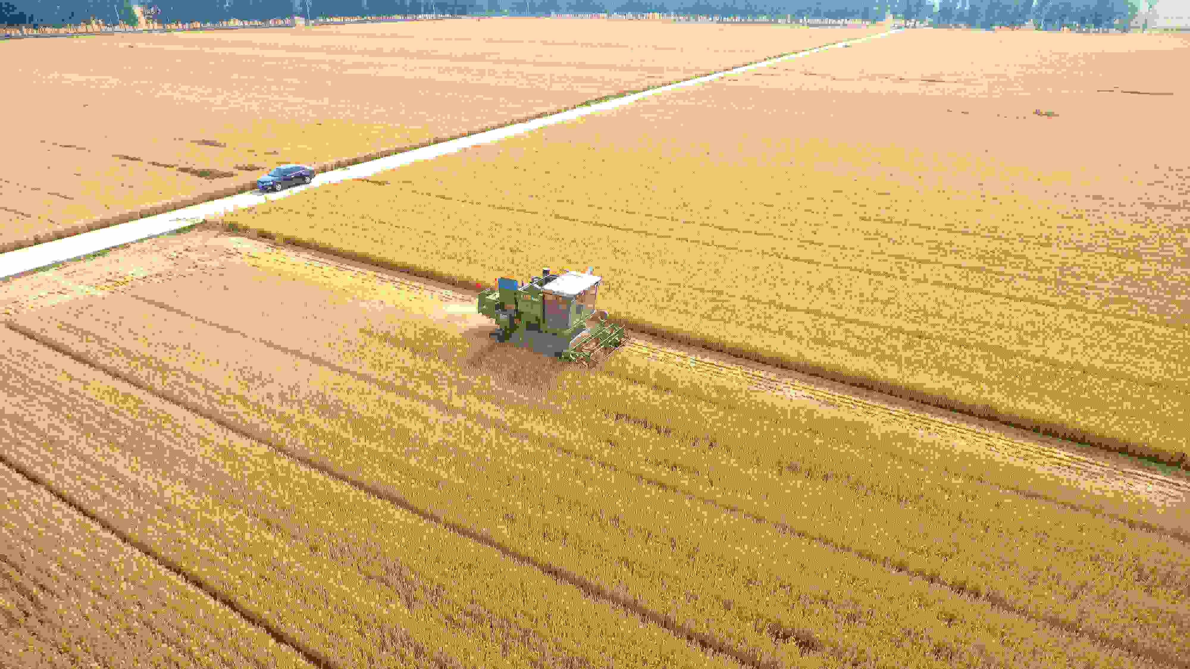 △ 2023年6月5日，山東聊城茌平區(qū)賈寨鎮(zhèn)王藥包村，收割機(jī)在田間進(jìn)行小麥?zhǔn)崭钭鳂I(yè)。