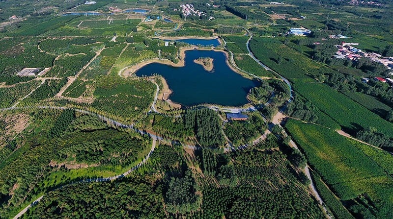 這是2022年9月6日拍攝的雄安新區(qū)“千年秀林”。