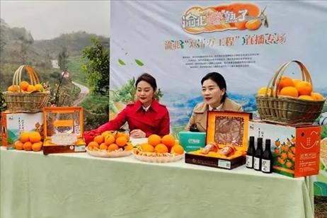 2021年2月26日，在重慶渝北區(qū)大盛鎮(zhèn)青龍村舉辦的直播活動現(xiàn)場。