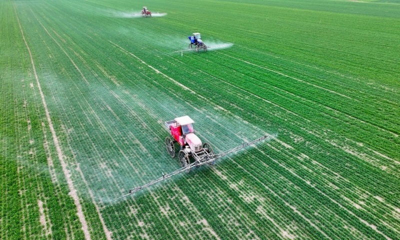 2024年2月18日，安徽省亳州市，利辛縣紀(jì)王場(chǎng)鄉(xiāng)孫老家村麥田，農(nóng)民駕駛自走式高桿噴霧機(jī)對(duì)小麥進(jìn)行噴藥作業(yè)。
