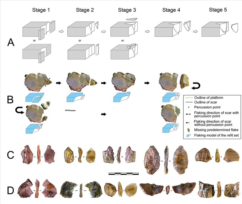 岑家灣遺址“準備石核技術”及相關石制品。（受訪單位供圖）