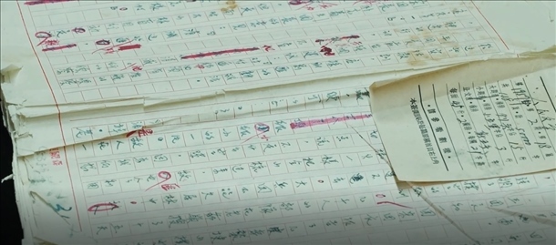 曲波《林海雪原》手稿。主辦方供圖