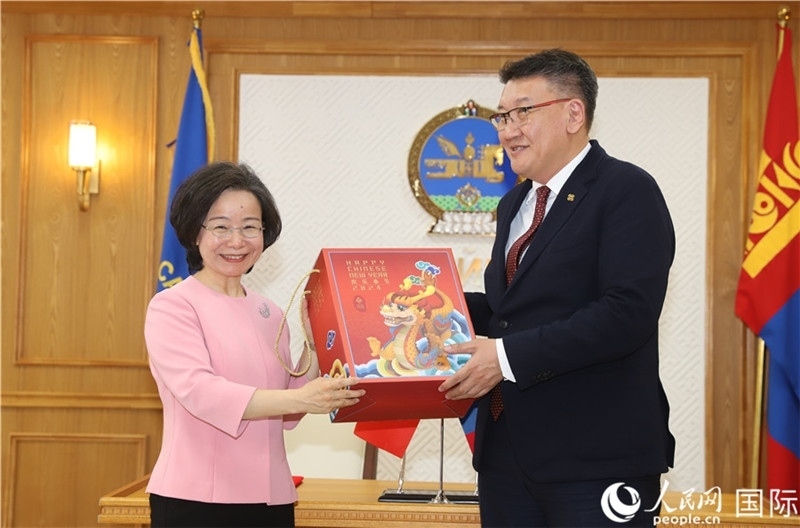 沈大使向扎布赫楞部長(zhǎng)贈(zèng)送吉祥龍。人民網(wǎng)記者 霍文攝