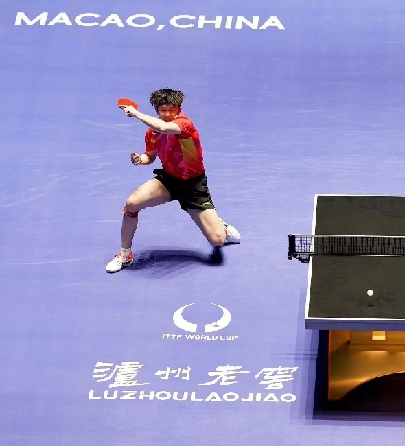 王楚欽在比賽中。賽事方供圖