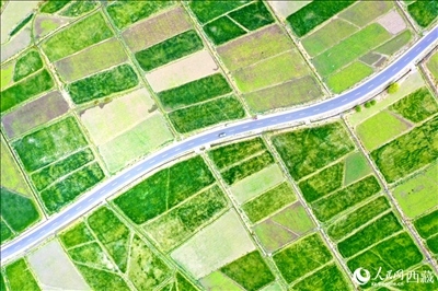無人機(jī)視角下的西藏山南市瓊結(jié)農(nóng)田。人民網(wǎng)記者 次仁羅布攝