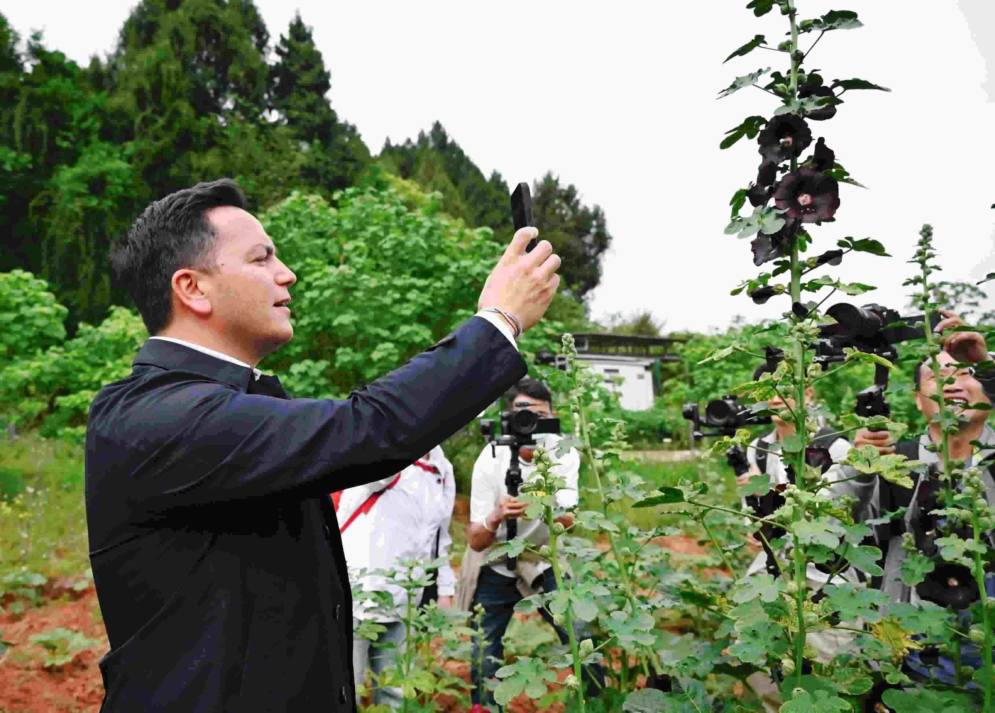  △2024年4月23日，國(guó)際園藝生產(chǎn)者協(xié)會(huì)主席萊昂納多·卡皮塔尼奧在成都市金堂縣鮮花山谷景區(qū)考察蜀葵產(chǎn)業(yè)。