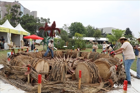 坎波·馬特活動(dòng)現(xiàn)場。埃內(nèi)斯托·多明戈斯攝