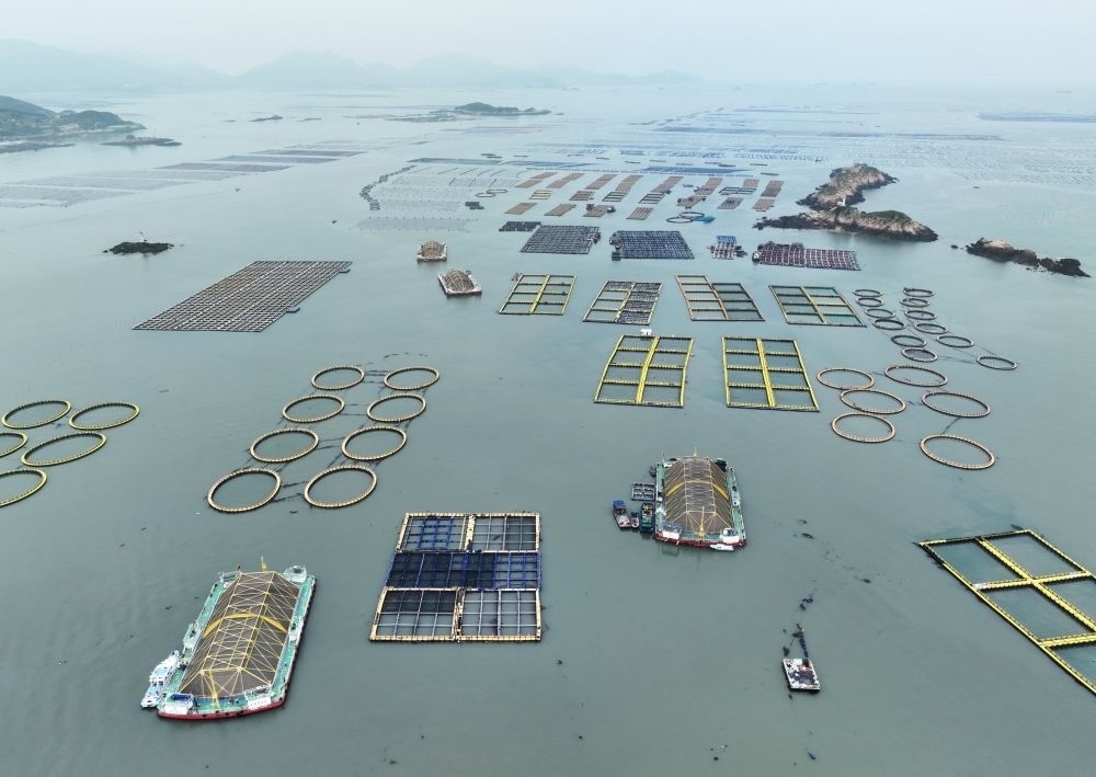 在福建連江定海灣海域，坐落著“定海灣1號”“定海灣2號”等深遠海養(yǎng)殖平臺（2024年5月7日攝，無人機照片）。新華社記者 林善傳 攝