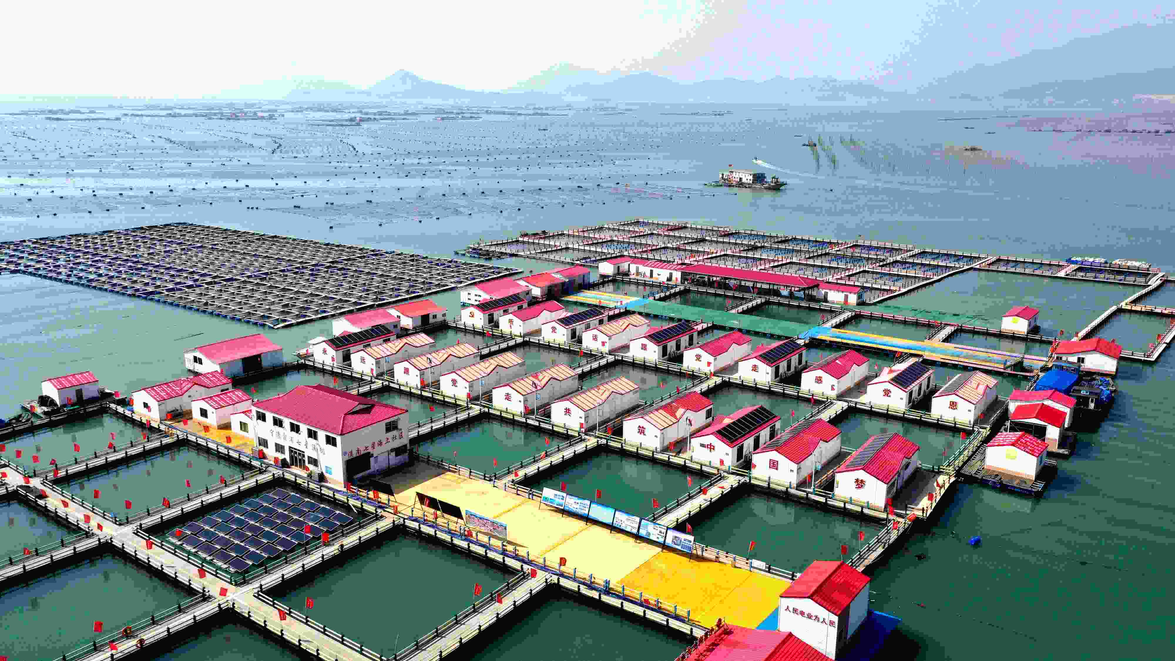 2024年3月20日，福建省寧德市，霞浦縣溪南鎮(zhèn)七星村漁排養(yǎng)殖示范區(qū)，漁民駕駛養(yǎng)殖船進(jìn)行海參養(yǎng)殖作業(yè)。