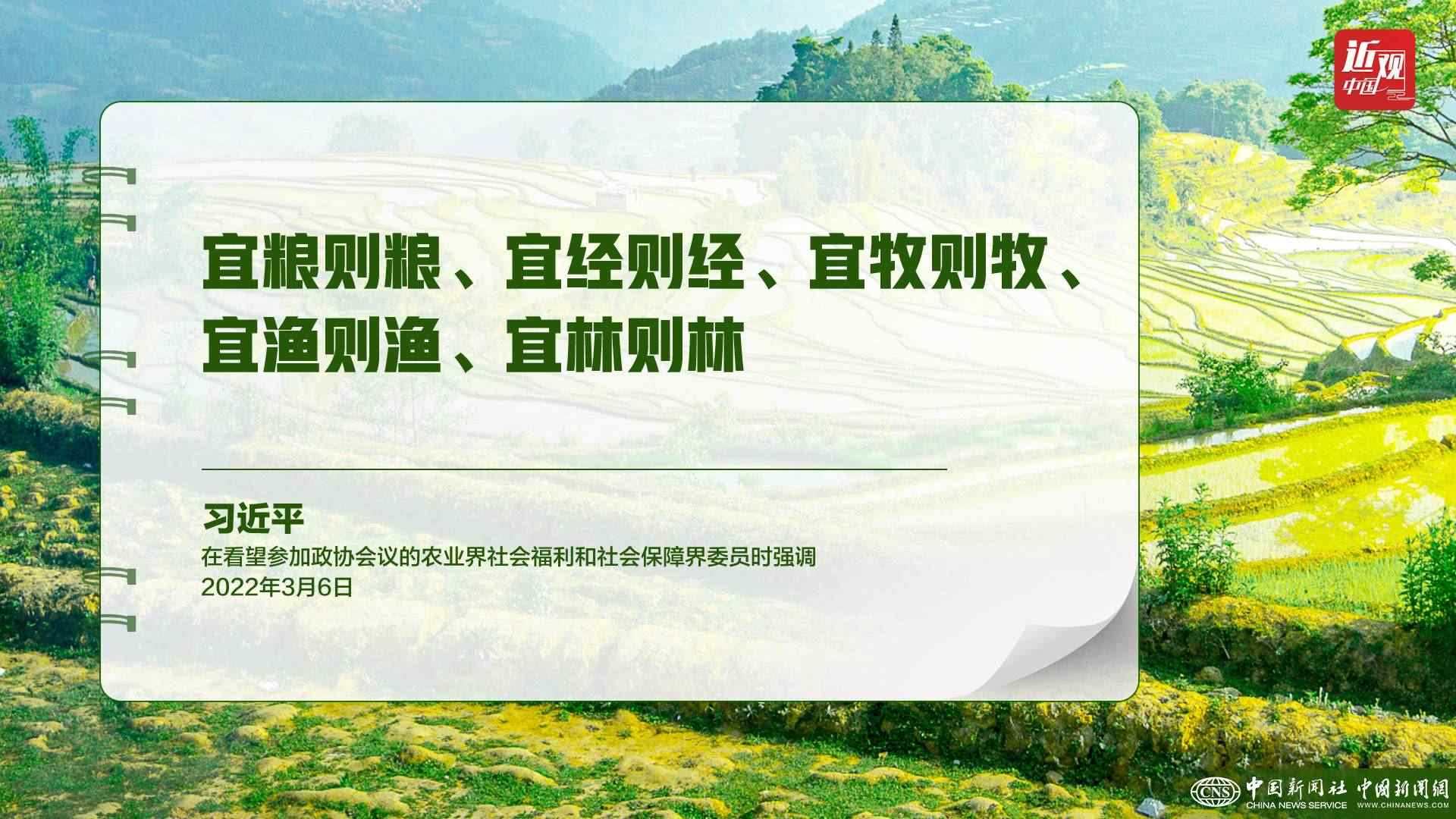 習(xí)近平：樹立大食物觀，構(gòu)建多元化食物供給體系