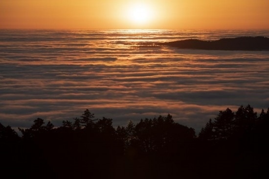 這是5月14日在美國加利福尼亞州馬林縣拍攝的云海。新華社發(fā)（李建國攝）