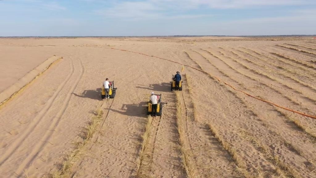 內(nèi)蒙古巴彥淖爾市烏拉特后旗西補隆林業(yè)管護中心職工駕駛機械鋪設壓沙障。新華社記者 李云平 攝