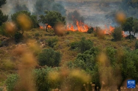 6月12日，以色列北部加利利地區(qū)遭受火箭彈襲擊后冒出滾滾濃煙。新華社發(fā)（阿亞爾·馬戈林攝/基尼圖片社）