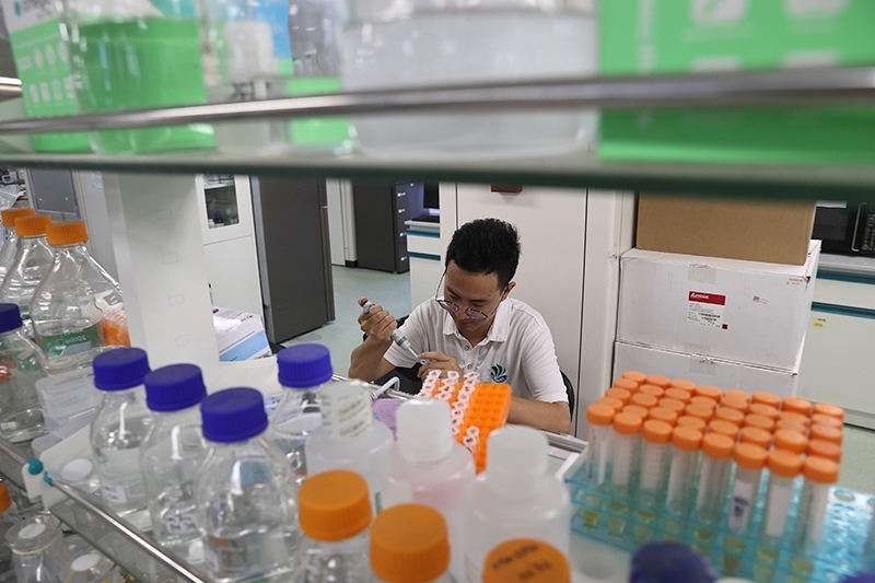 在三亞崖州灣科技城，一名青年科技工作者正在進行科研工作。