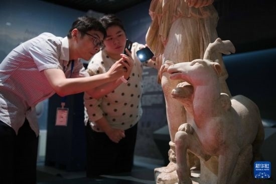 7月2日，安徽博物院工作人員在拍攝開箱后的古希臘文物。新華社記者 張端 攝