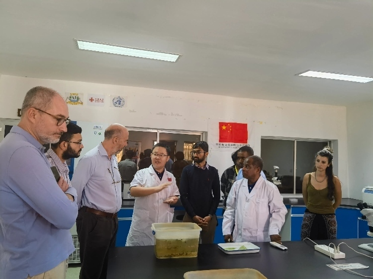 活動現(xiàn)場。專家組供圖