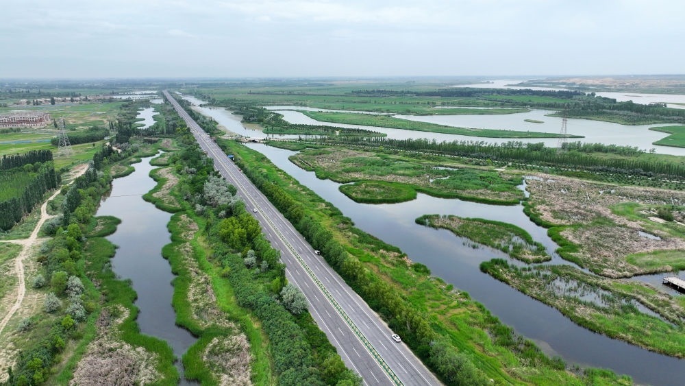 這是2024年6月13日拍攝的黃河寧夏段濱河大道（無(wú)人機(jī)照片）。近年來(lái)，寧夏努力建設(shè)黃河流域生態(tài)保護(hù)和高質(zhì)量發(fā)展先行區(qū)，全力打好黃河保護(hù)持久戰(zhàn)。新華社記者 王鵬 攝