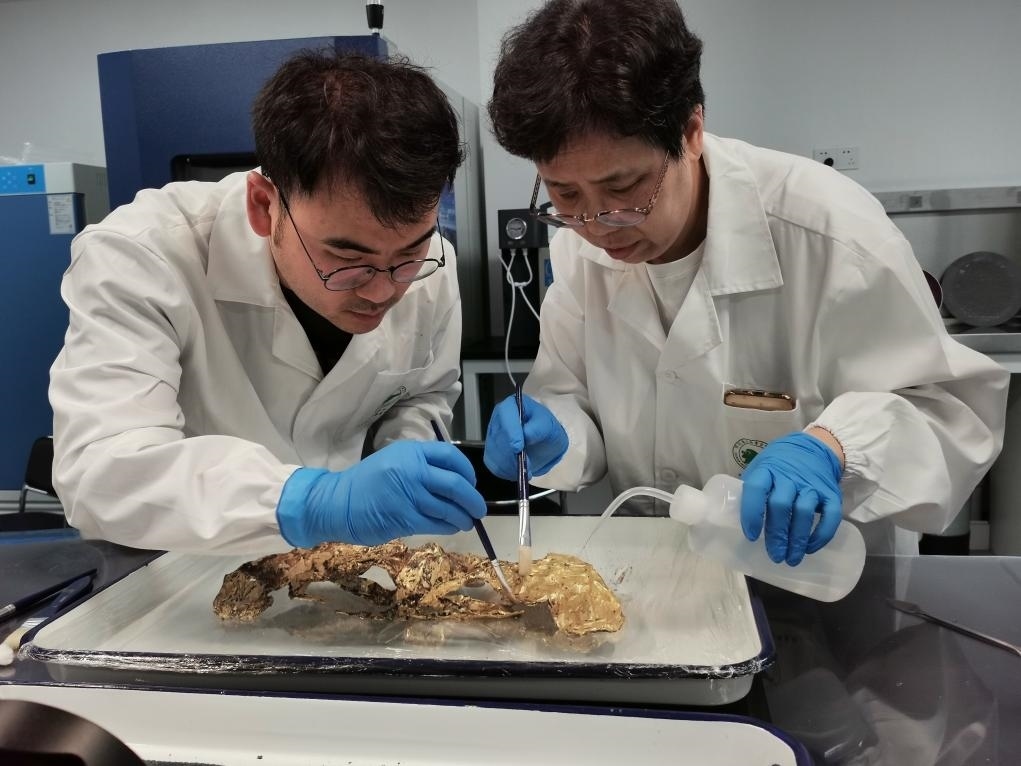 2023年7月，馬燕如（右）帶著魯海子（左）修復三星堆遺址出土的黃金面具。新華社發(fā)（四川省文物考古研究院供圖）