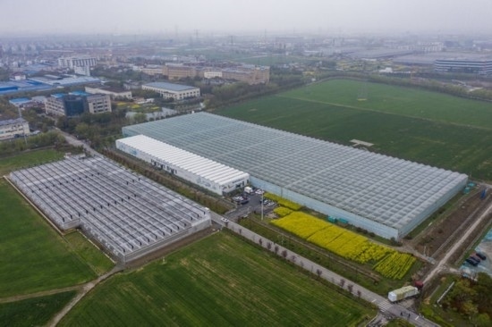 2024年3月28日，空中俯瞰嘉興南湖區(qū)湘家蕩農(nóng)業(yè)數(shù)字化工廠（無人機照片）。該農(nóng)業(yè)數(shù)字化工廠占地總面積約62畝，包含智慧農(nóng)業(yè)生產(chǎn)、物聯(lián)網(wǎng)智能管理、自動分揀包裝、保鮮儲藏物流、高科技示范展示等五大功能區(qū)，可直接或間接培養(yǎng)帶動新型職業(yè)技術(shù)農(nóng)民500人以上。新華社記者 徐昱 攝