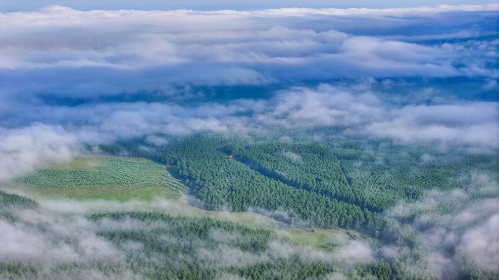 2024年7月26日拍攝的塞罕壩國家級自然保護(hù)區(qū)景色。新華社發(fā)（劉滿倉 攝）