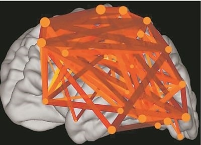 圖上的線條代表大腦皮層中與語言處理相關的各個區(qū)域之間的連接。當閱讀時，這些區(qū)域的神經元會以精確同步的方式激發(fā)，這種現(xiàn)象被稱為共同漣漪。圖片來源：加州大學圣迭戈分校